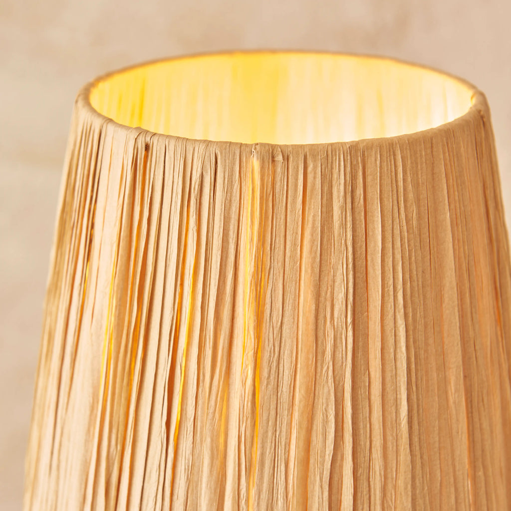 Davis Table Lamp | Natural Raffia & Brass