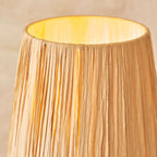 Davis Table Lamp | Natural Raffia & Brass