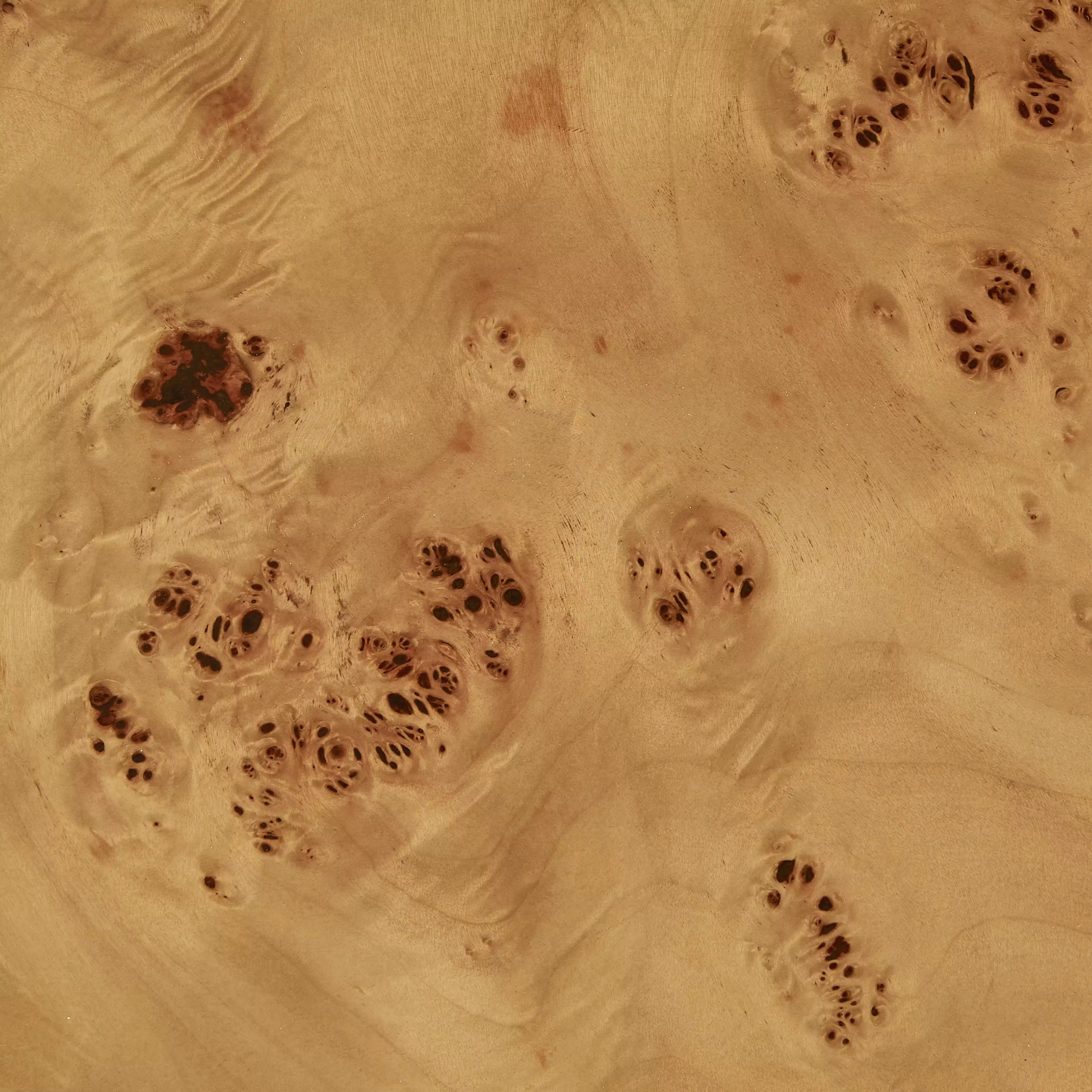 Dalton Round Wooden Side Table | Burl Wood