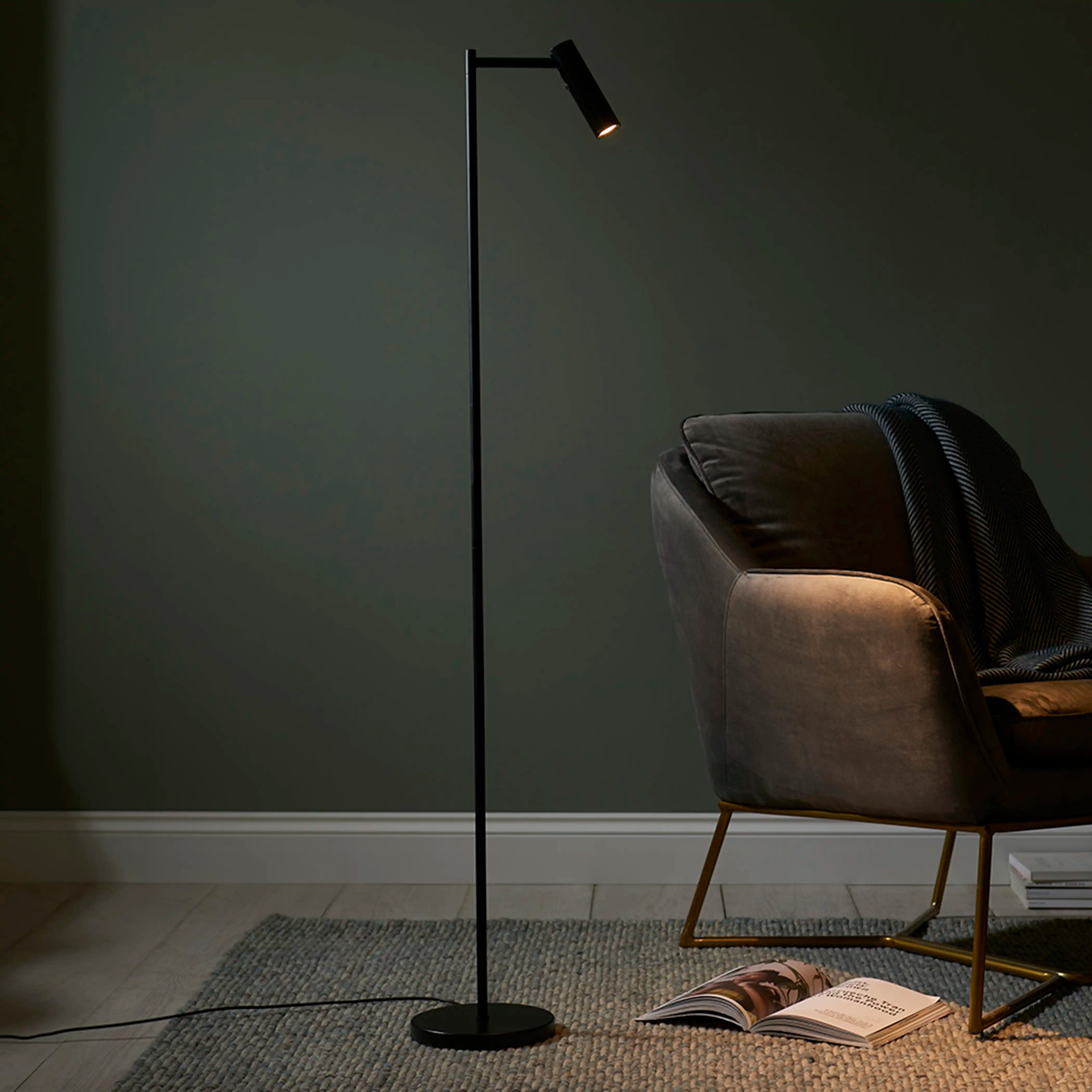 Dedicated Reader Floor Lamp | Black