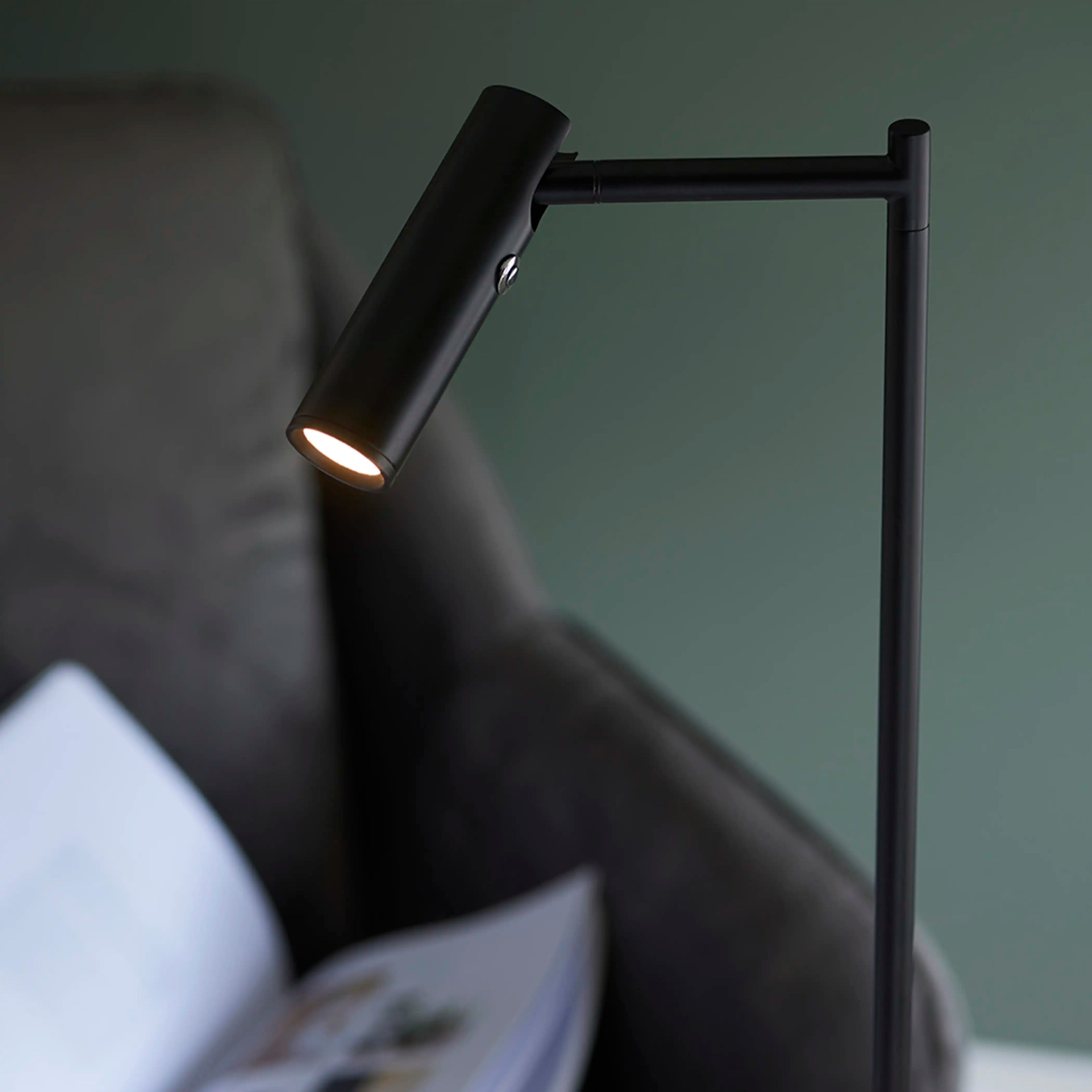 Dedicated Reader Floor Lamp | Black