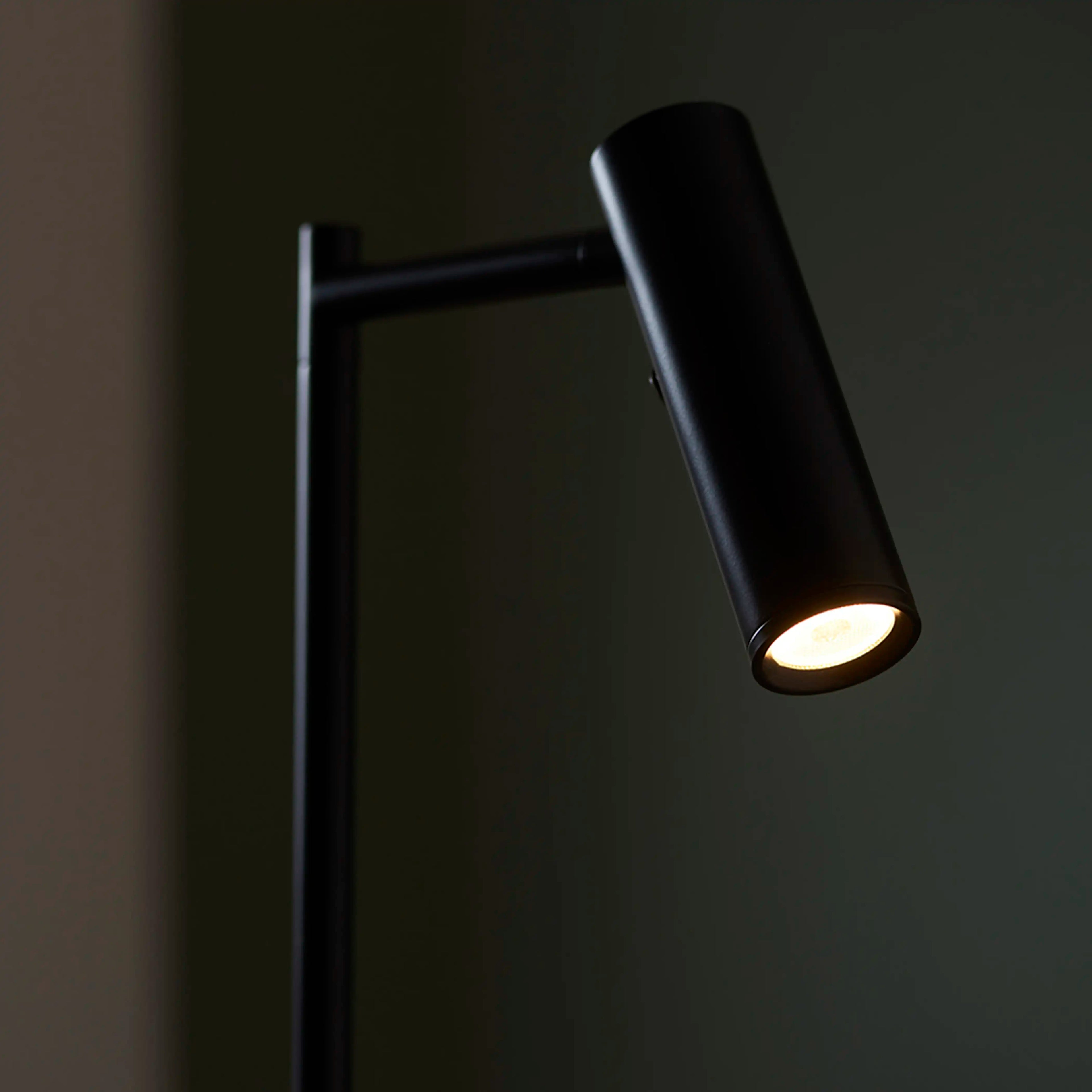 Dedicated Reader Floor Lamp | Black