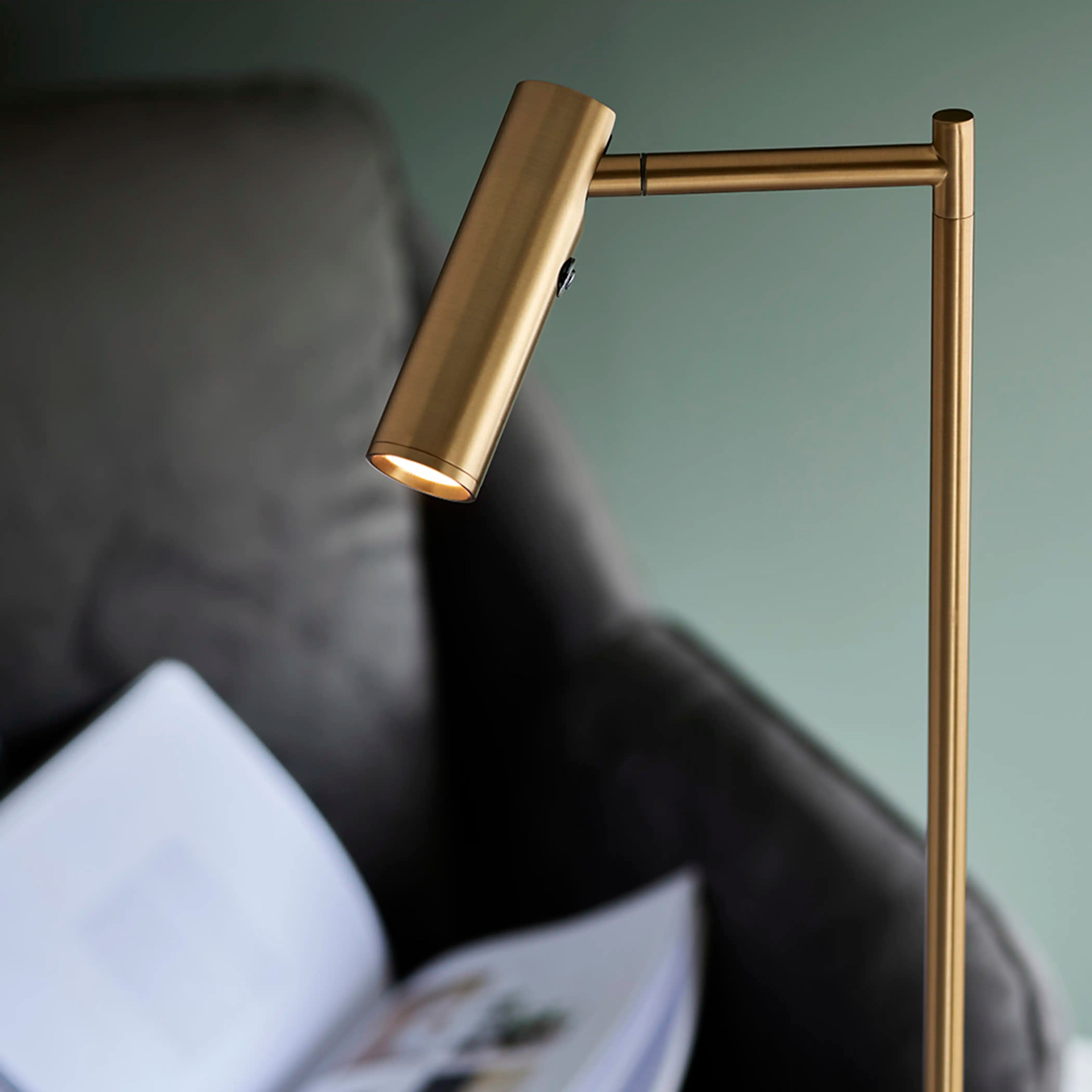 Dedicated Reader Floor Lamp | Brass
