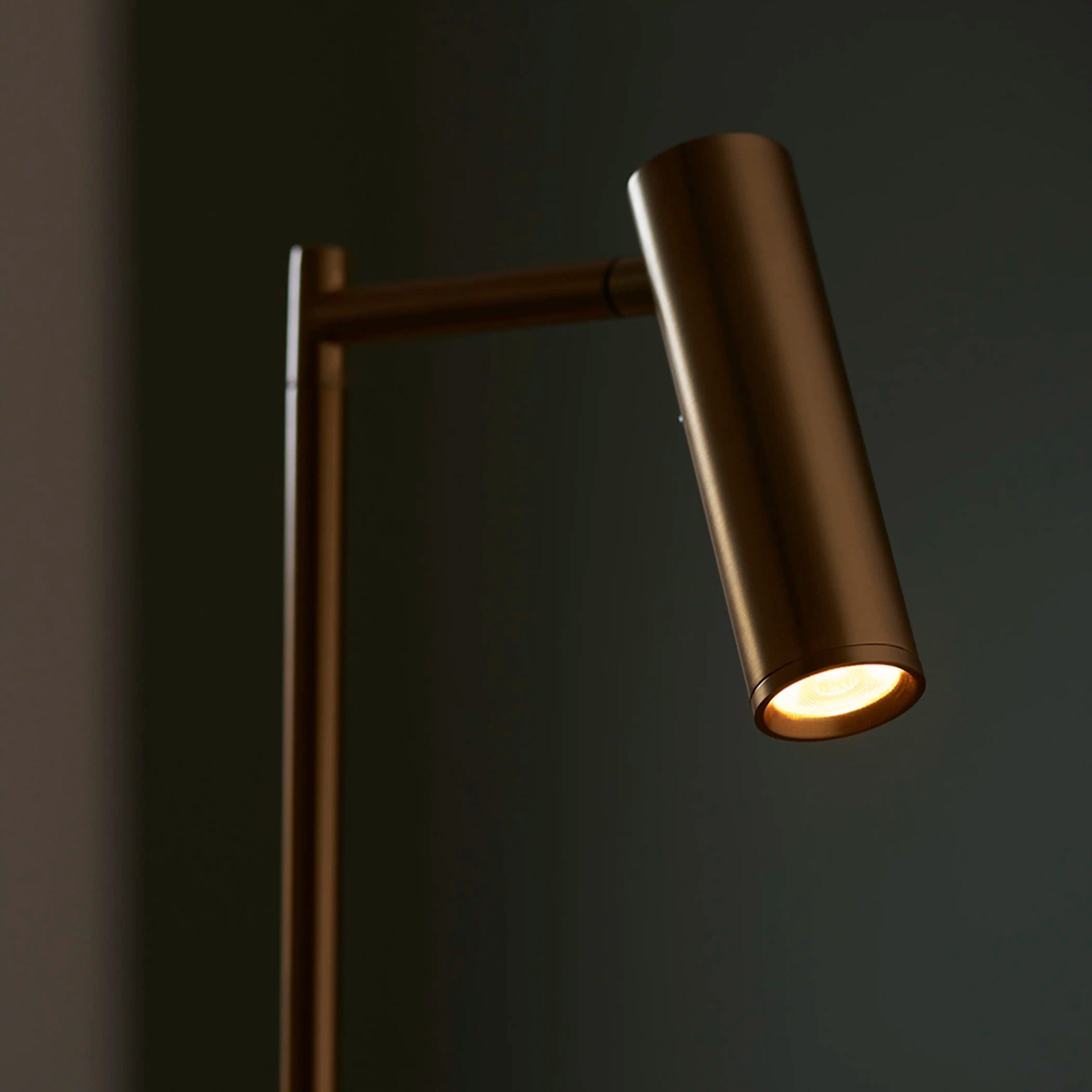 Dedicated Reader Floor Lamp | Brass