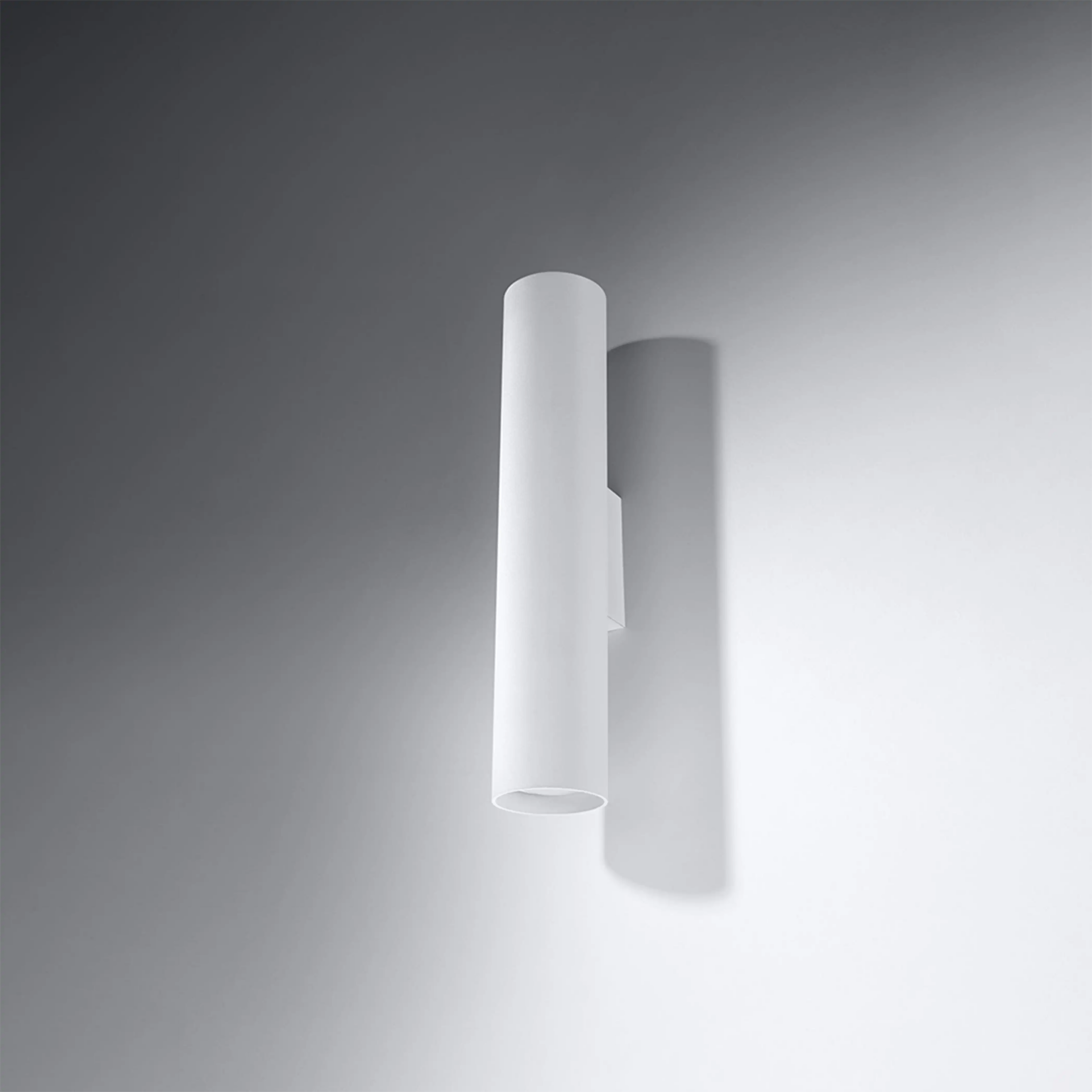Ciana 2 Light Wall Light | White